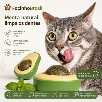 Bola de Catnip formato abacate para Gatos