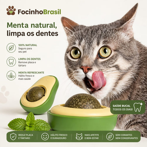 Bola de Catnip formato abacate para Gatos