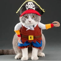 Pirata