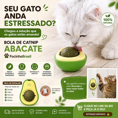 Bola de Catnip formato abacate para Gatos