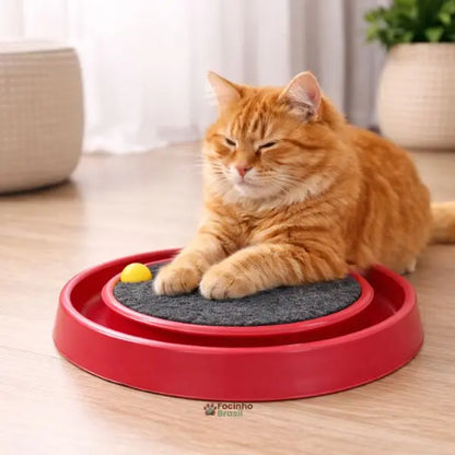 Brinquedo arranhador para gatos com carpete resistente e pista de bolinha