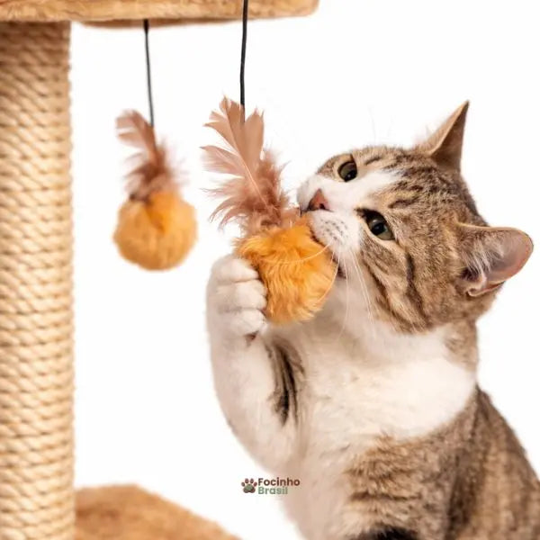 Gato brincando e arranhando arranhador para gatos com poste de sisal e brinquedos pendurados