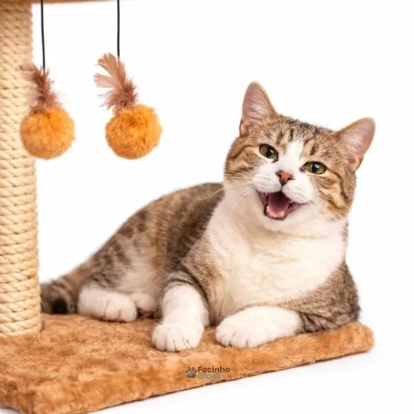 Close do poste arranhador para gatos com corda de sisal resistente para afiar as unhas