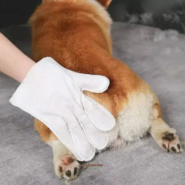 banho a seco para cães e gatos com luva antibacteriana descartável