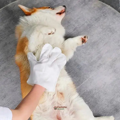 luva de higienização para pets ideal para viagens e limpeza rápida