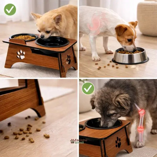 Comparação entre alimentação no chão e comedouro elevado para cachorro e gato