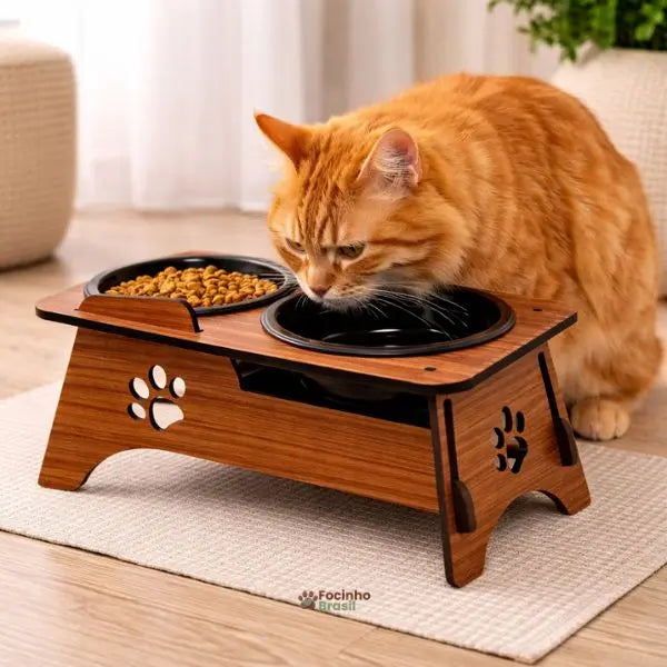 Gato utilizando comedouro elevado para alimentação mais confortável e postura saudável