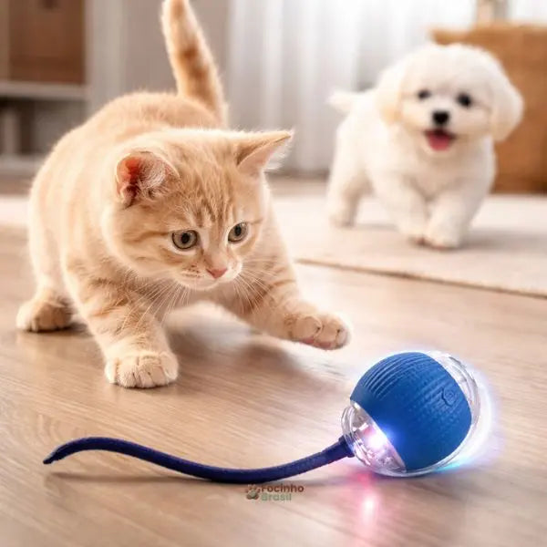 brinquedo automático para cachorro e gato com luz LED azul e corda interativa
