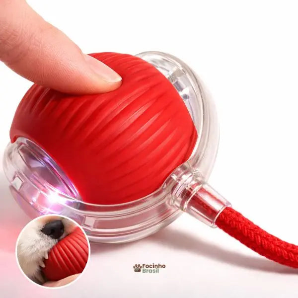 gato brincando com bolinha elétrica automática para gatos brinquedo interativo