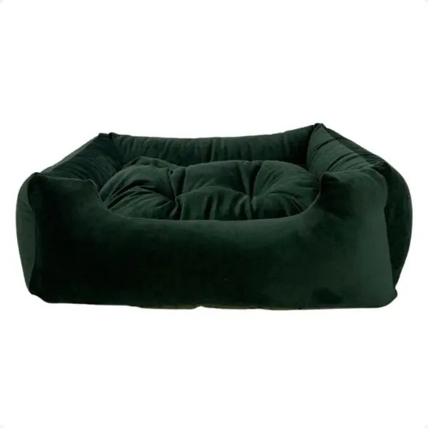 gato dormindo em cama pet suede macia focinho brasil