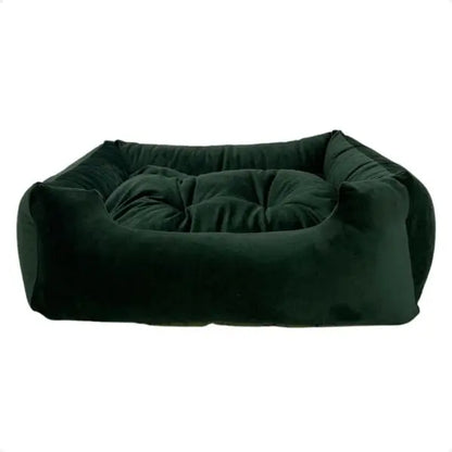 gato dormindo em cama pet suede macia focinho brasil