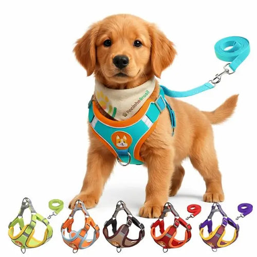 Coleira para cachorro e gato tipo peitoral com guia de nylon resistente