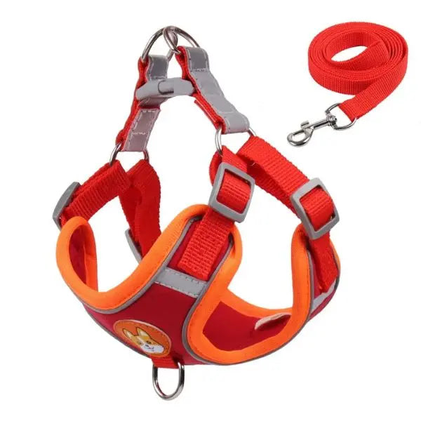 Conjunto coleira para cachorro e gato com guia de nylon durável