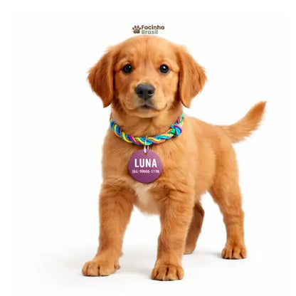 coleira para cachorro personalizada com plaquinha de identificação gravada