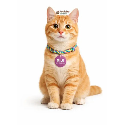 cachorro usando coleira com identificação personalizada para pets