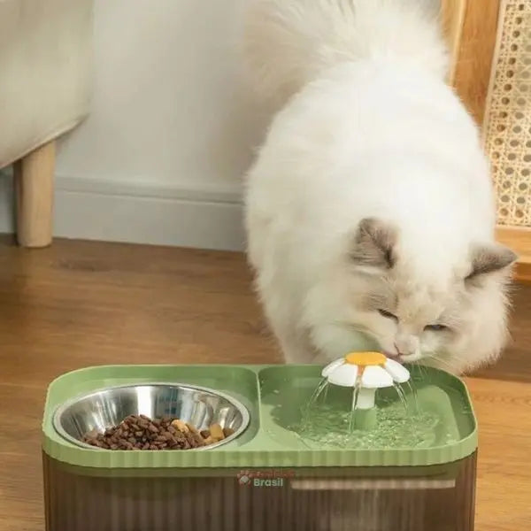 bebedouro automático para gatos com sistema de filtragem e água corrente
