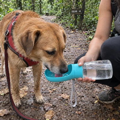Garrafa portátil para pets