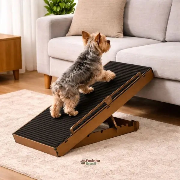Rampa para cachorro antiderrapante com regulagem de altura ajudando pet a subir no sofá com segurança