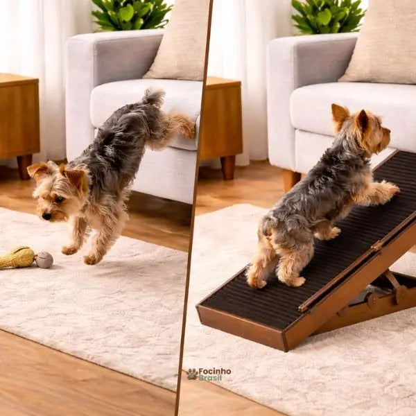 Comparação cachorro pulando do sofá e cachorro usando rampa pet antiderrapante para subir com segurança