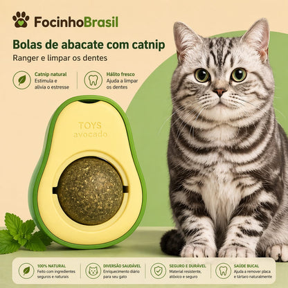 Bola de Catnip formato abacate para Gatos