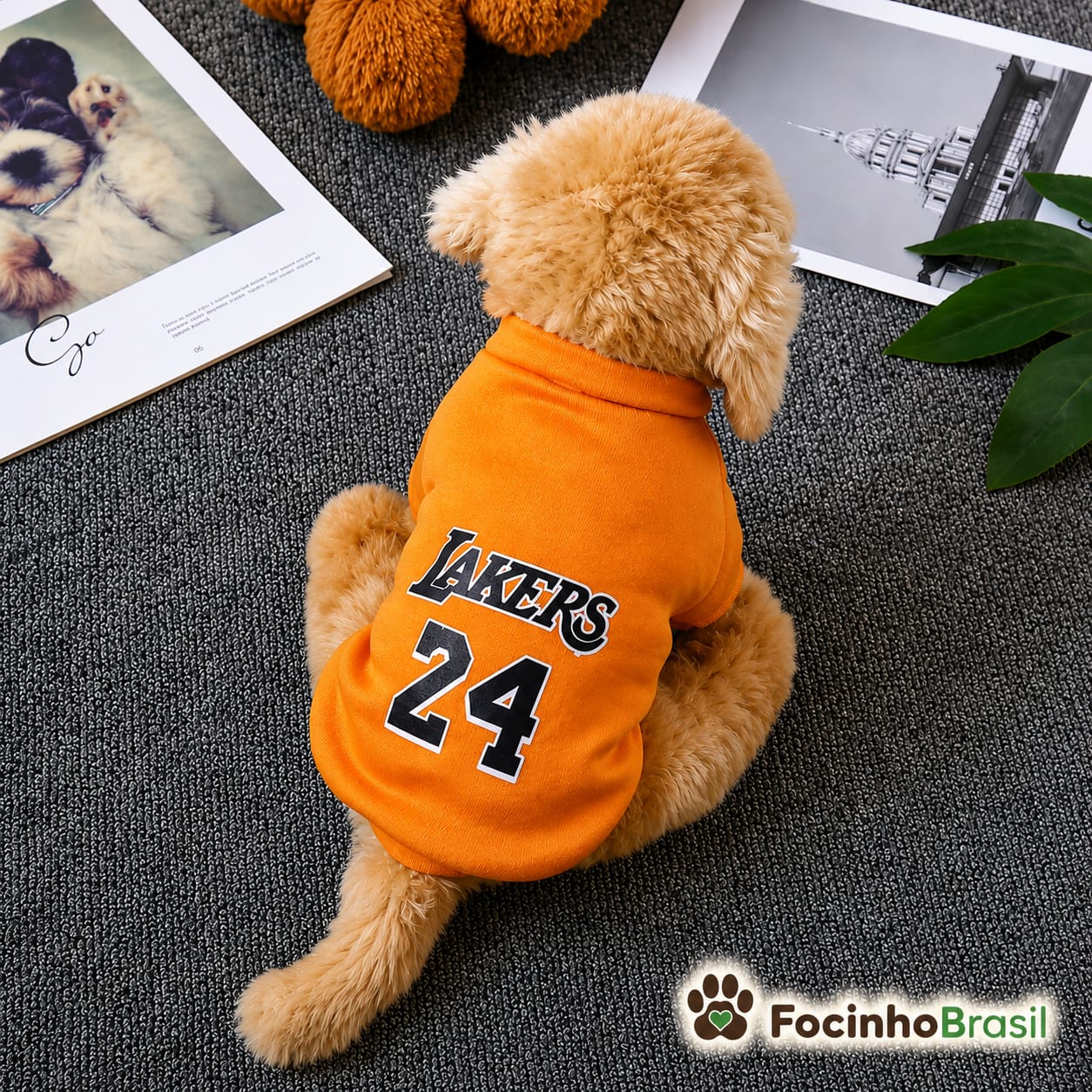 Roupa pet -  Suéter Pet Outono/Inverno NBA