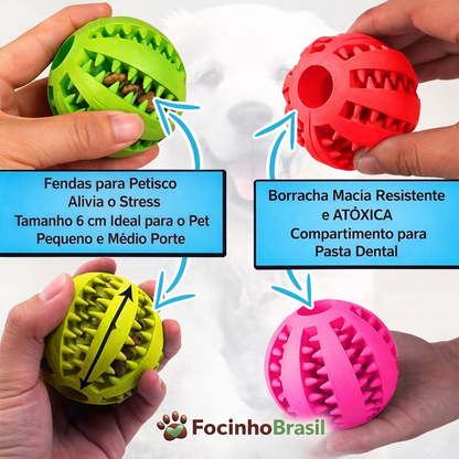 Bola Multifuncional - Escova Mordedor - Porta Petisco