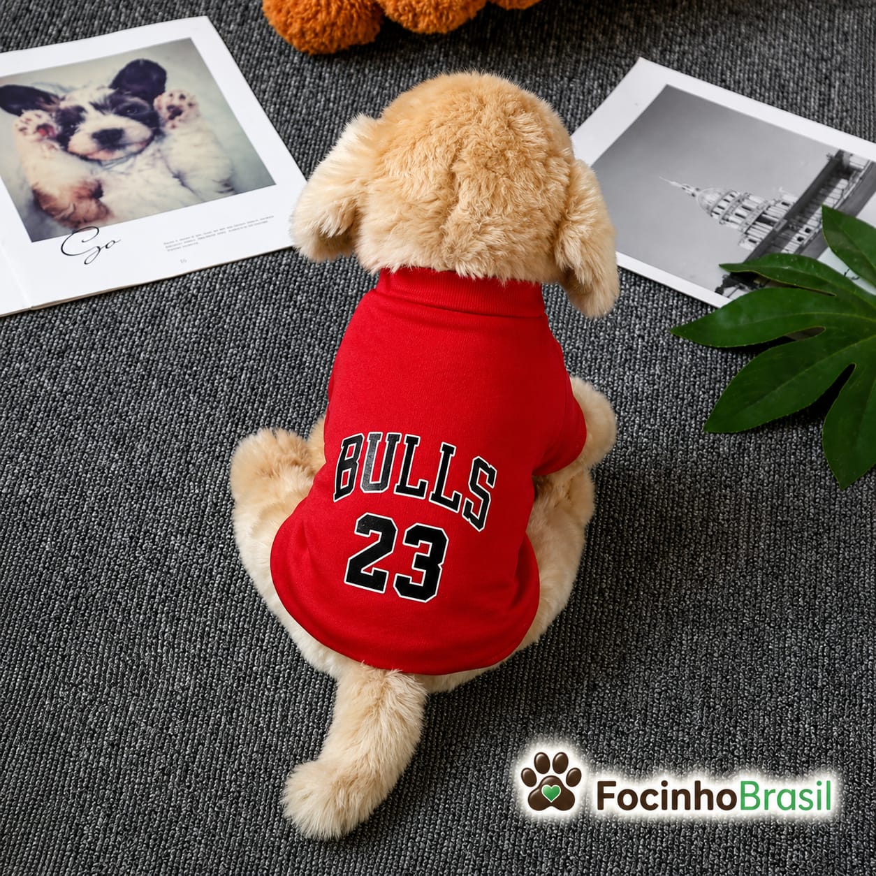 Roupa pet -  Suéter Pet Outono/Inverno NBA