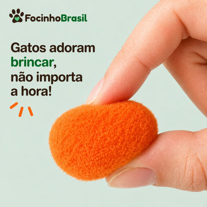 Lançador de bolinhas  para gatos