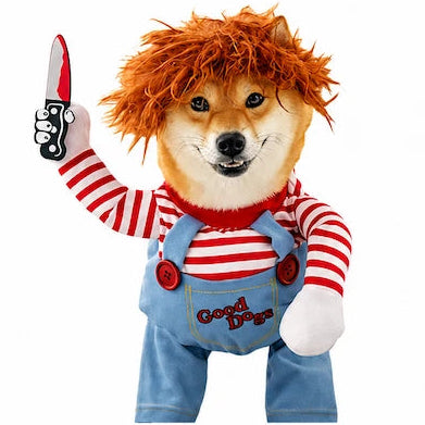 Fantasia para Cachorro | Focinho Brasil